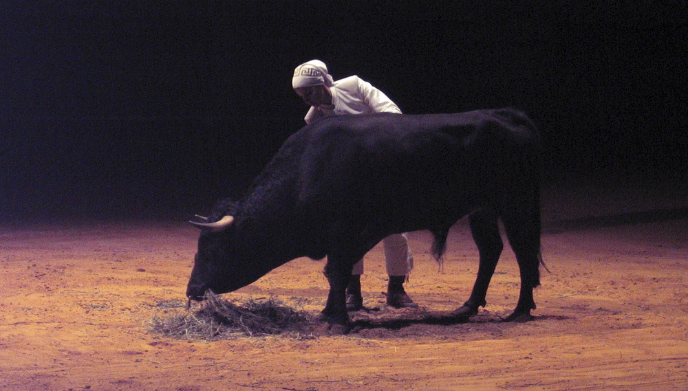 (2009) La Mujer y el Toro